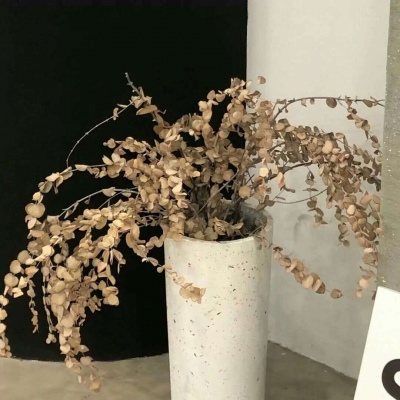 Furry绘画避坑指南FurryQQ群